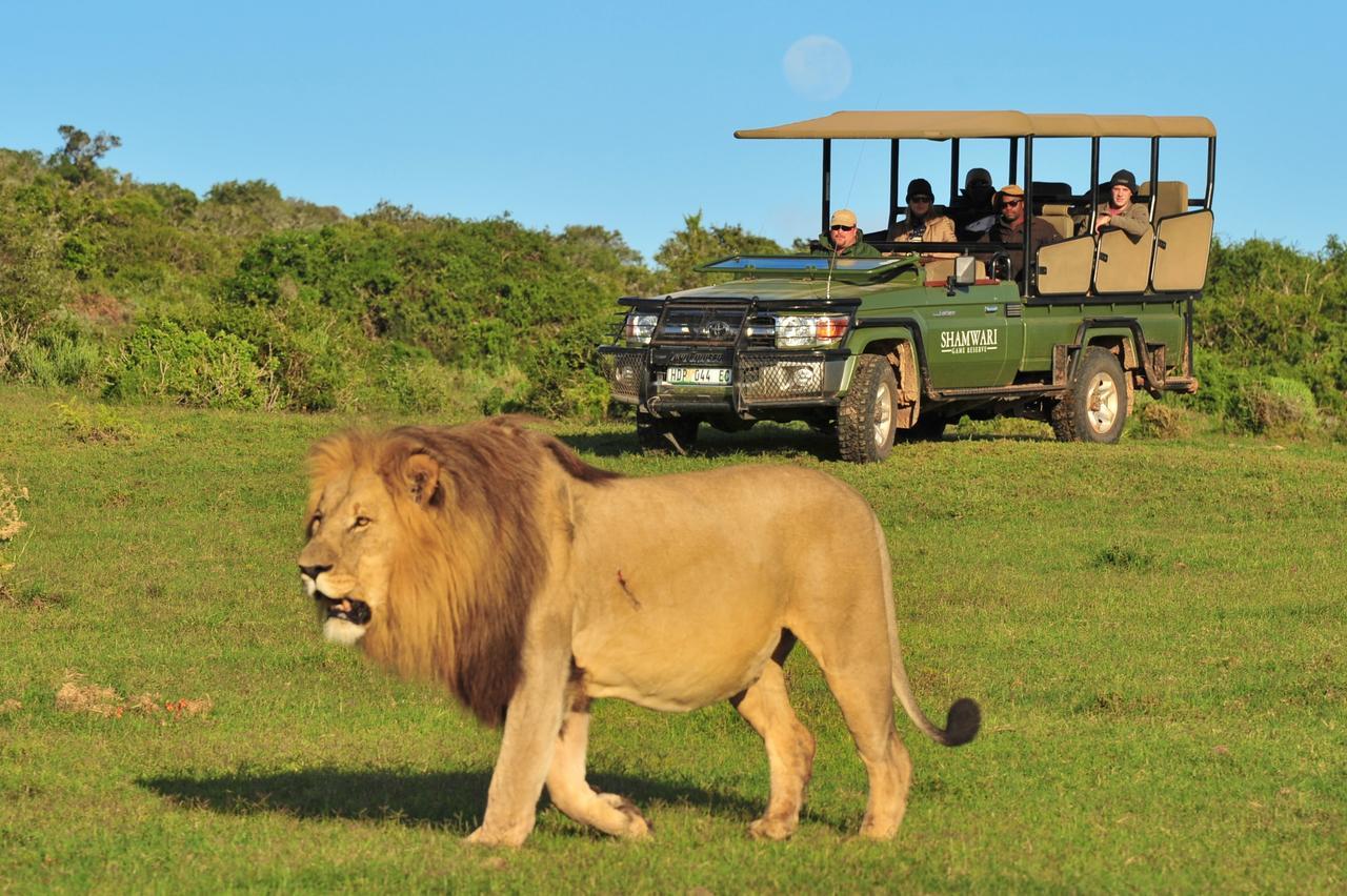 Shamwari Eagles Crag Villa Port Elizabeth Exterior photo