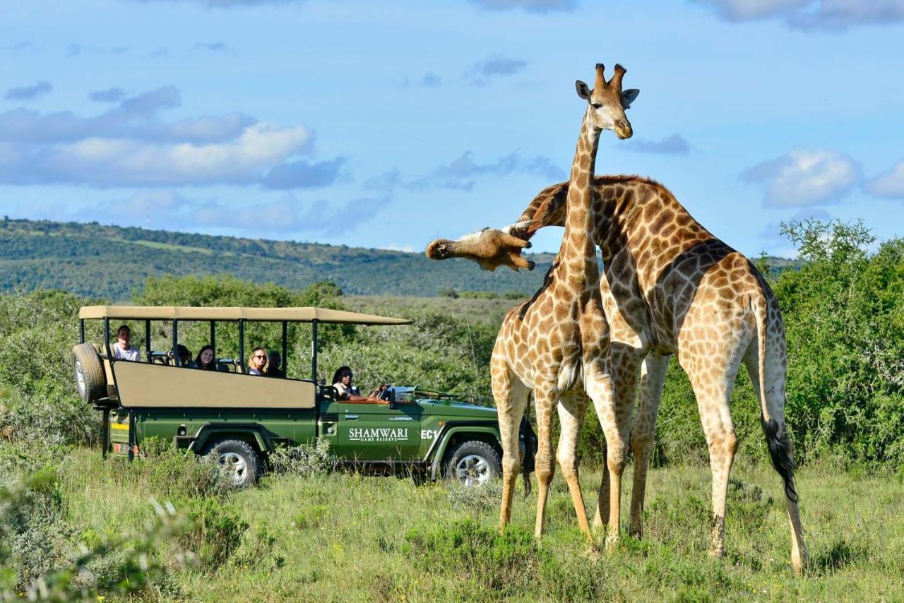 Shamwari Eagles Crag Villa Port Elizabeth Exterior photo